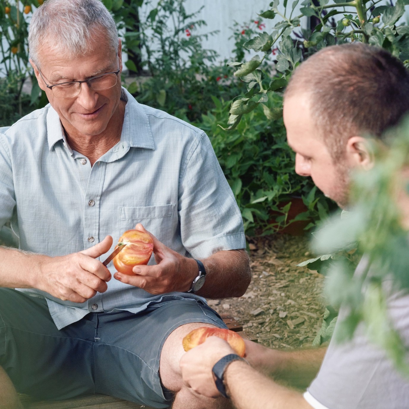 Father and adult son prepare food on the farm
